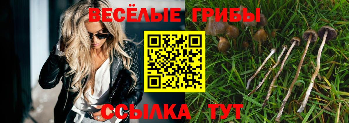 Псилоцибиновые грибы прущие грибы Кольчугино