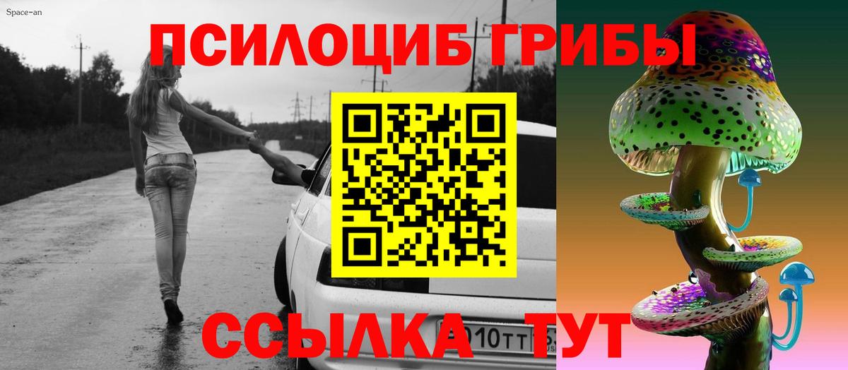 Псилоцибиновые грибы Psilocybe  Вход с VPN  Галлюциногенные грибы мицелий  Кольчугино 